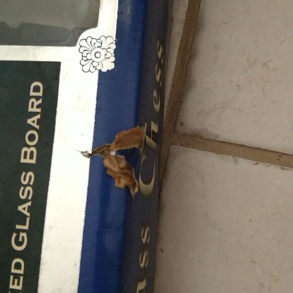 Glass Chess Set - Picture 7 of 8